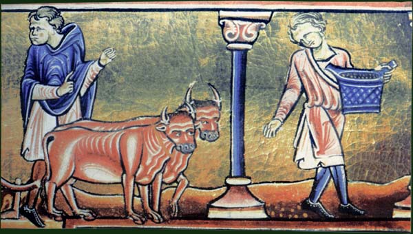 Средневековый полуплащ с капюшоном  "Шап" (ТН)