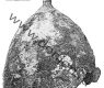 Шлем тип II из Гульбища (Бр)